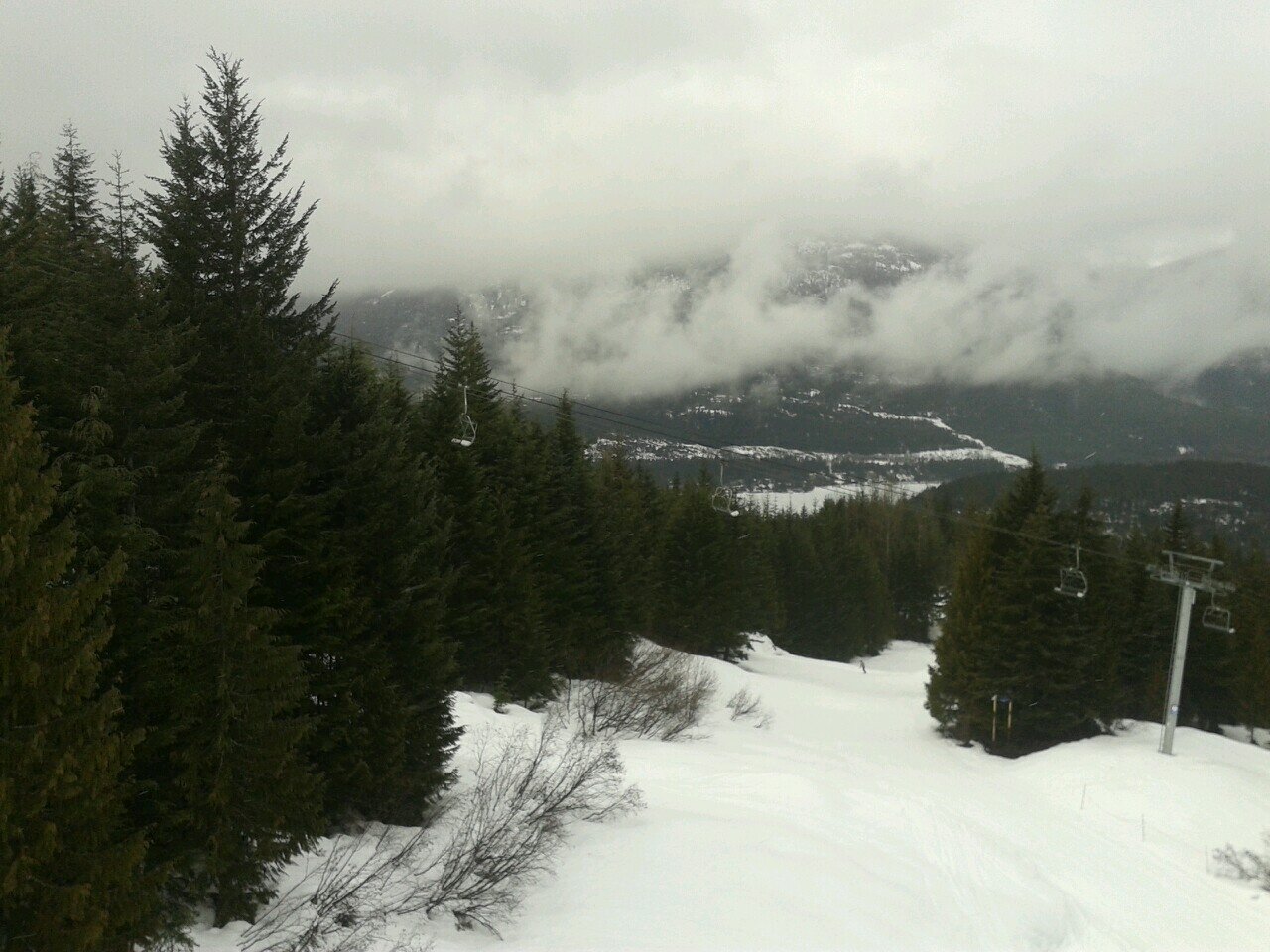 andy870930's profile picture. 