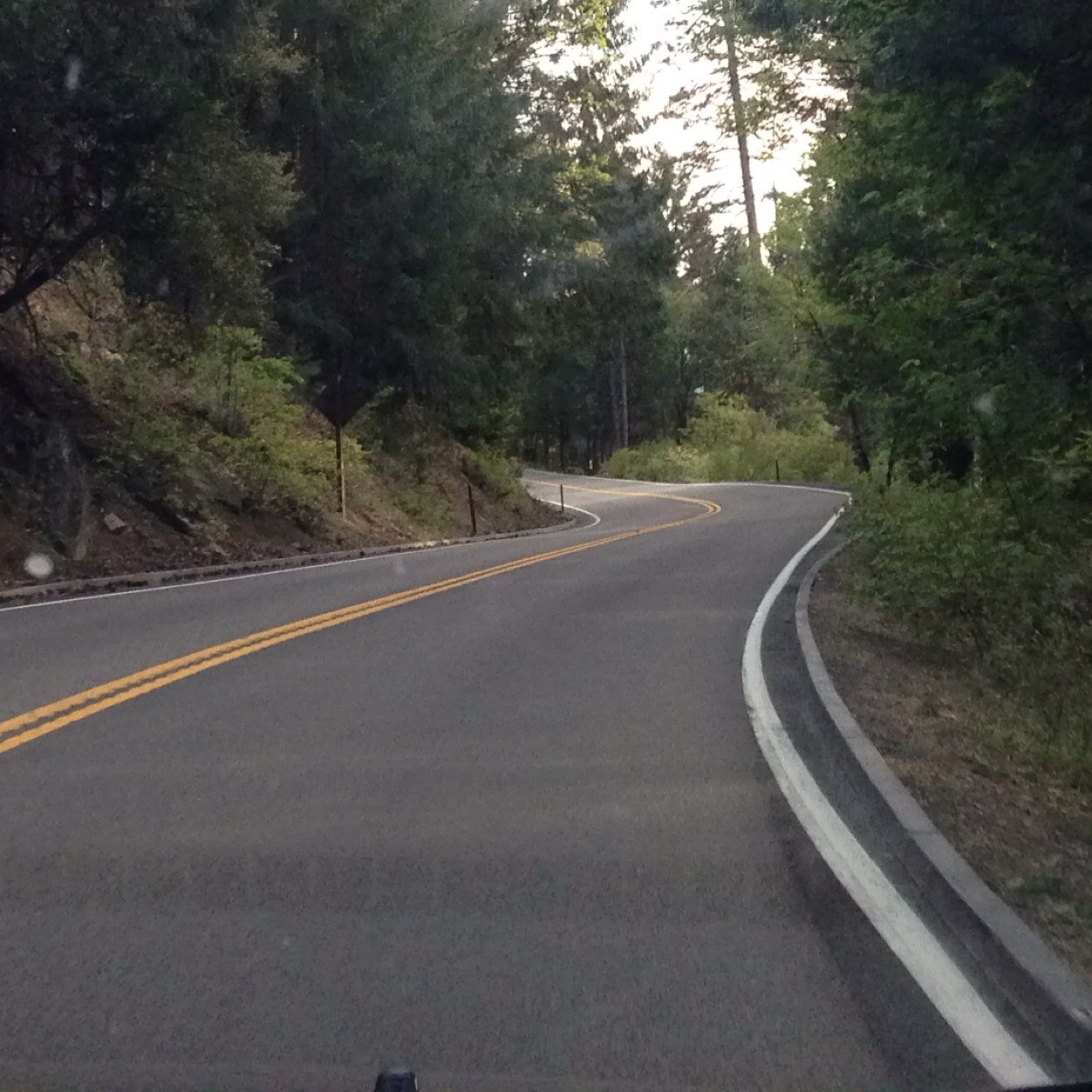 ahambrahmasmi3's profile picture. Human!