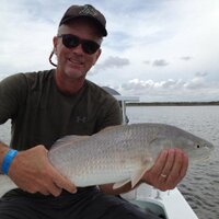 Bob Quillin (@bobquillin) 's Twitter Profile