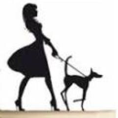 Photographe. Promeneur de chiens. Visites/gardes à domicile chats chiens et nacs.