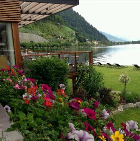 haimd2013's profile picture. 