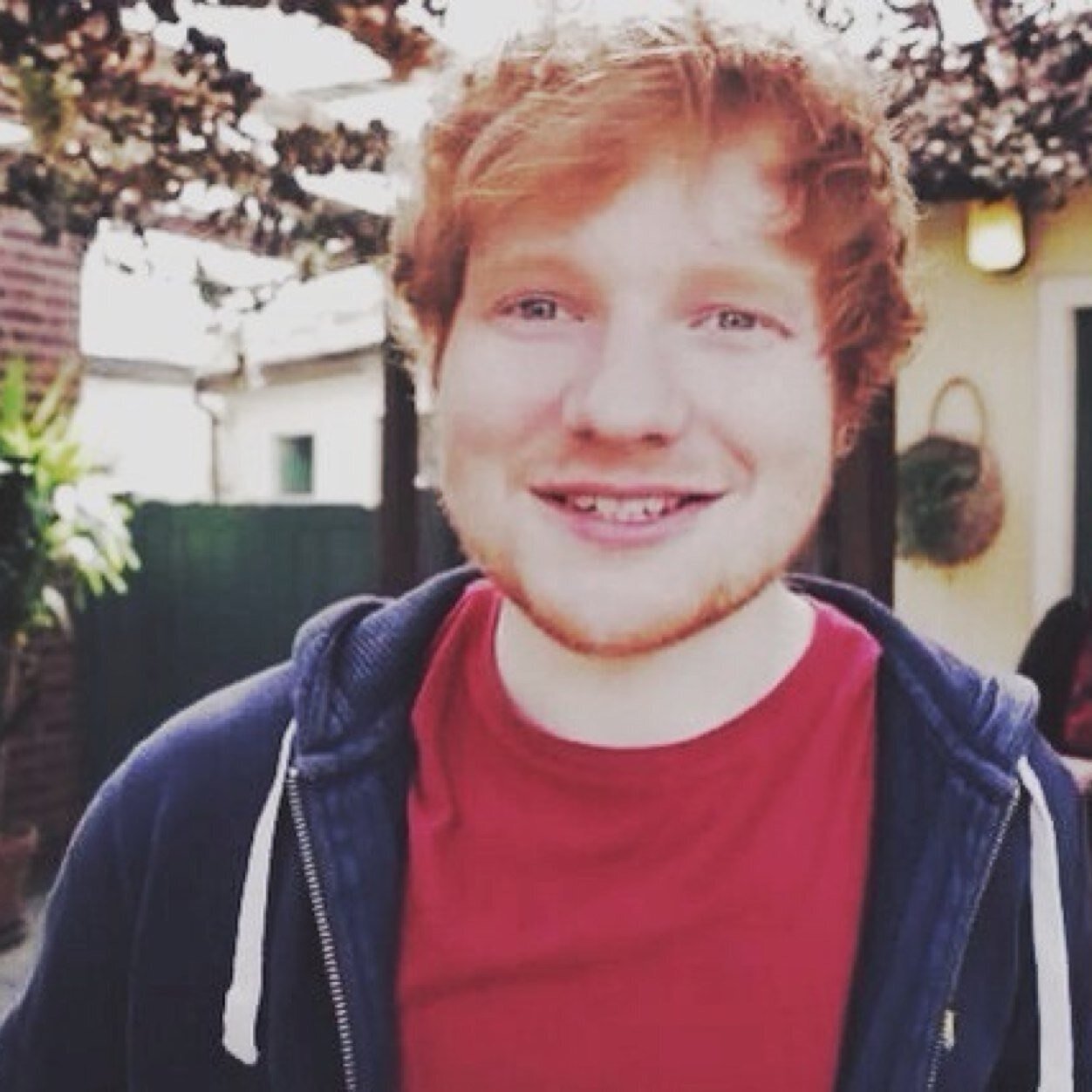 Freee follow from @ed_sheeran_meow ily