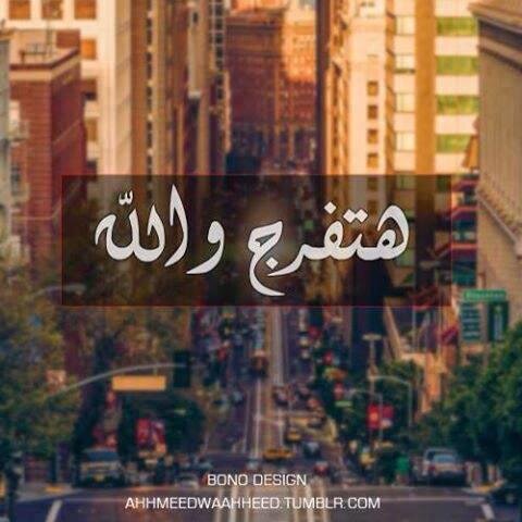 Studied law at Helwan University