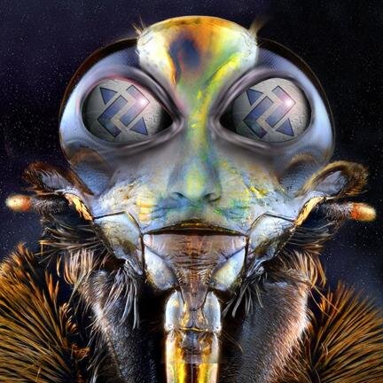 MaxStimulus's profile picture. "No one who had once fallen into the hands of the Thought Police ever escaped in the end. They were corpses waiting to be sent back to the grave."  🧔🏻