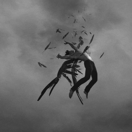 Cuenta dedicada a esas sagas que nos han cambiado la vida || In Demigods We Trust || Escape a Narniea|| Envía a los mundis con los mutos