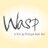 wasp_film's profile image