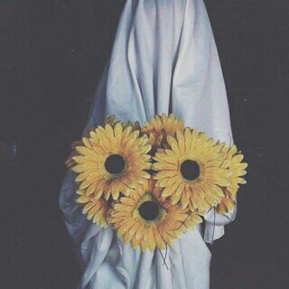 ‏‏ارتوت وبس.