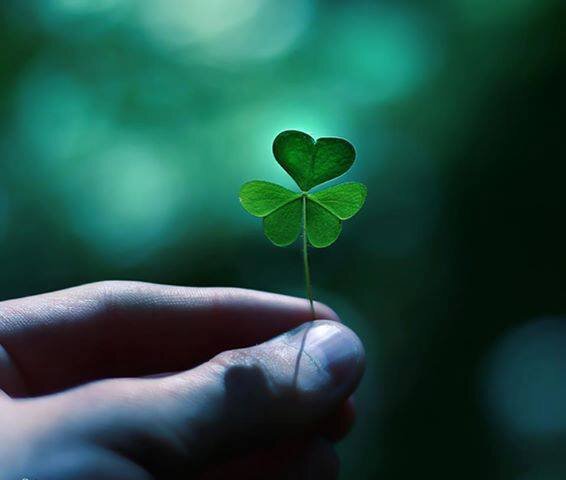 waikukugirl's profile picture. Awen she/her