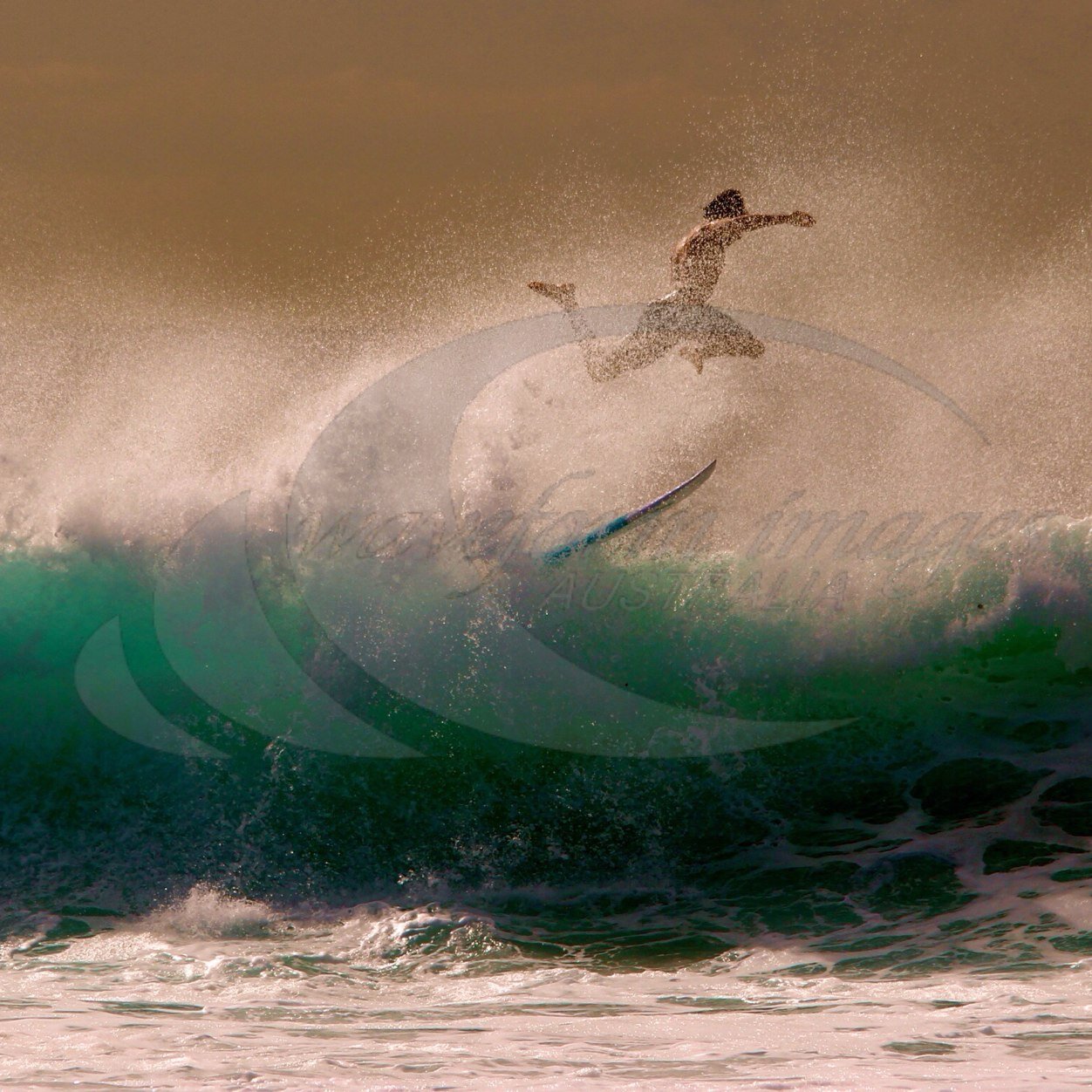 waveform_images's profile picture. 