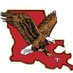 Southern Eagle (@southerneagle2) Twitter profile photo