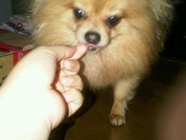 newdhbdg's profile picture. 