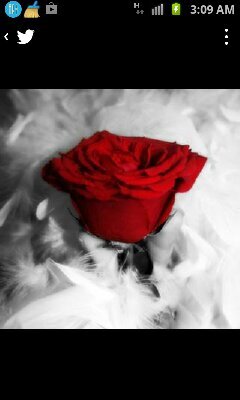 اٍّلَّحّْاٍّلَّ واٍّلَّاٍّقِّدٌّاٍّرواٍّلَّرزَقِّ مُّكّْتُّوبّْ
ومُّاٍّجٍّاٍّبّْهّْ اٍّلَّلَّهّْ...لَّاٍّشّْكّْ خٌّيرهّْ