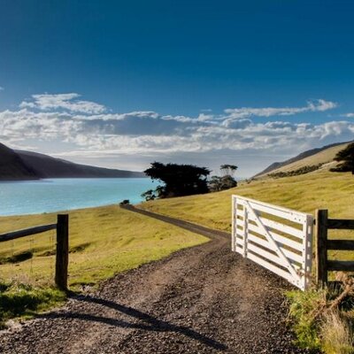 AnnandaleNewZealand