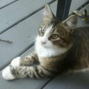 Barb Scott - @BarbHill82 - Twitter