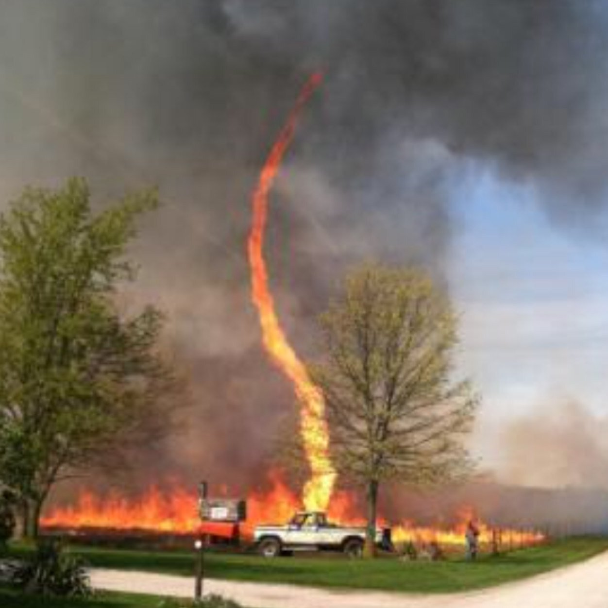 85Muska's profile picture. 