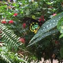 Virginia Read - @vpread11 - Twitter