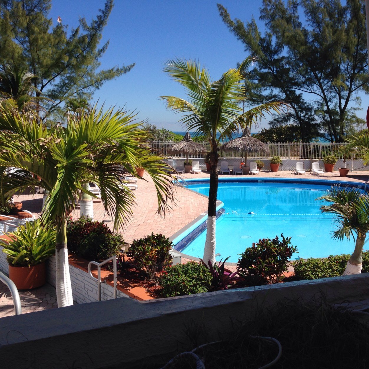 PennyMathson's profile picture. Mom to Kurt & Kara and Grandma to Kelsey , Laura. Logan, Erik