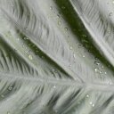 Tina Bryson - @twalnb - Twitter