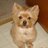 JulieMocabee's profile image