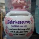 Sabrina Sharp - @GiGiSharp5 - Twitter