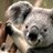 l_predmore's profile image