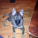 Nate Workman - @WorkmanNate - Twitter