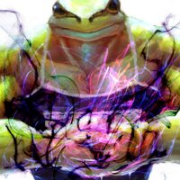 2.5D (@2500d) 's Twitter Profile