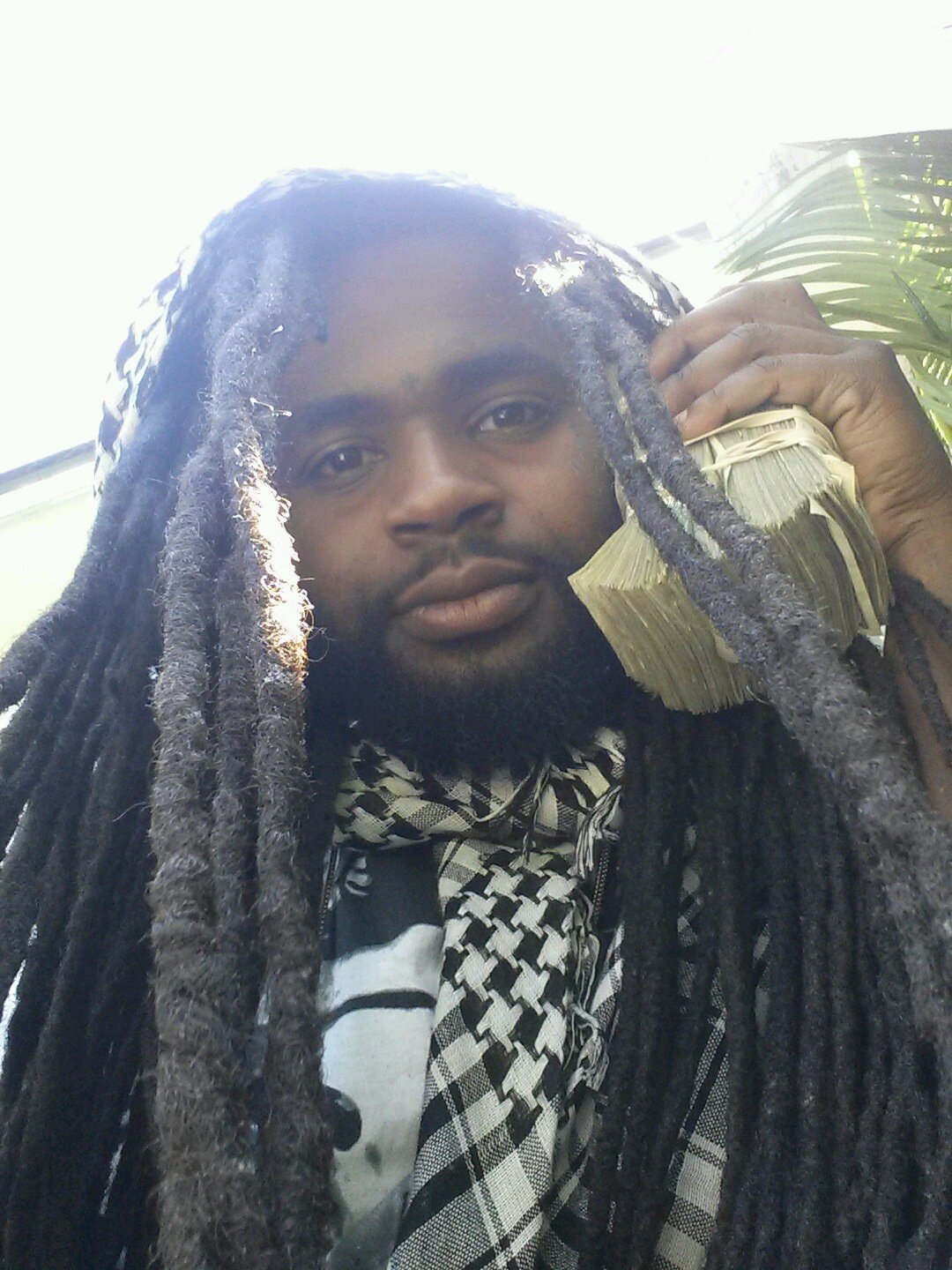 fuck a bio follow and we can get high together #CGM #teamfollowbAck