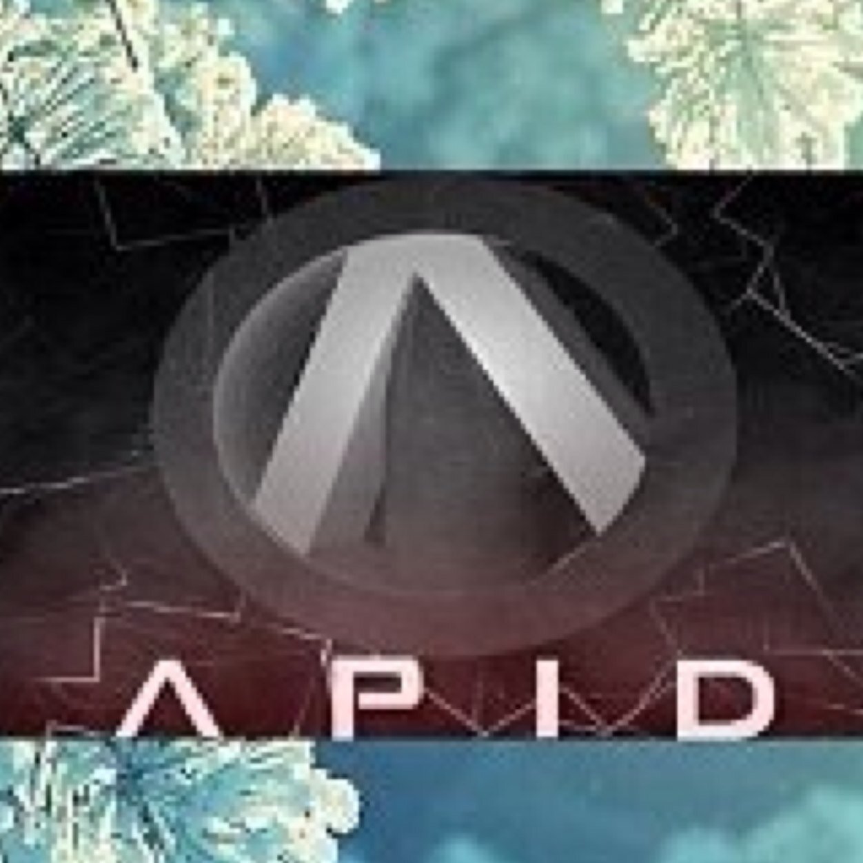 Proud Member of APID Gaming YouTube : APID Volt OG|Postin soon