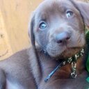 laura machuca - @lau5ramachuca - Twitter