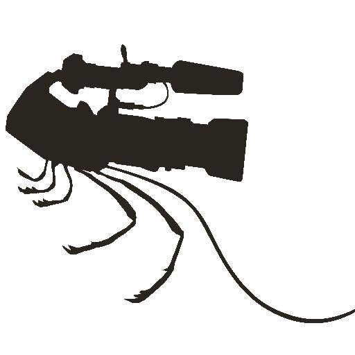 SIC_Challenge's profile picture. Im here to tell you all about Showdown In Chinatown.  Hawaii's Premiere Underground Film Competition.