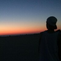 Matt (@matt77o) 's Twitter Profile