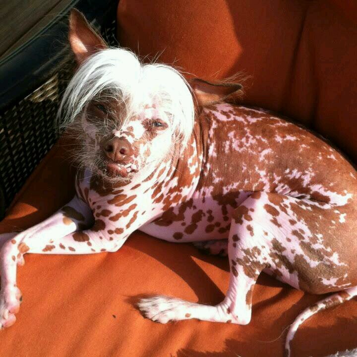 GeerDonna's profile picture. 