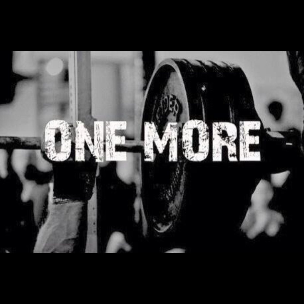 weightroomlife's profile picture. Work hard in silence. Let success make all the noise