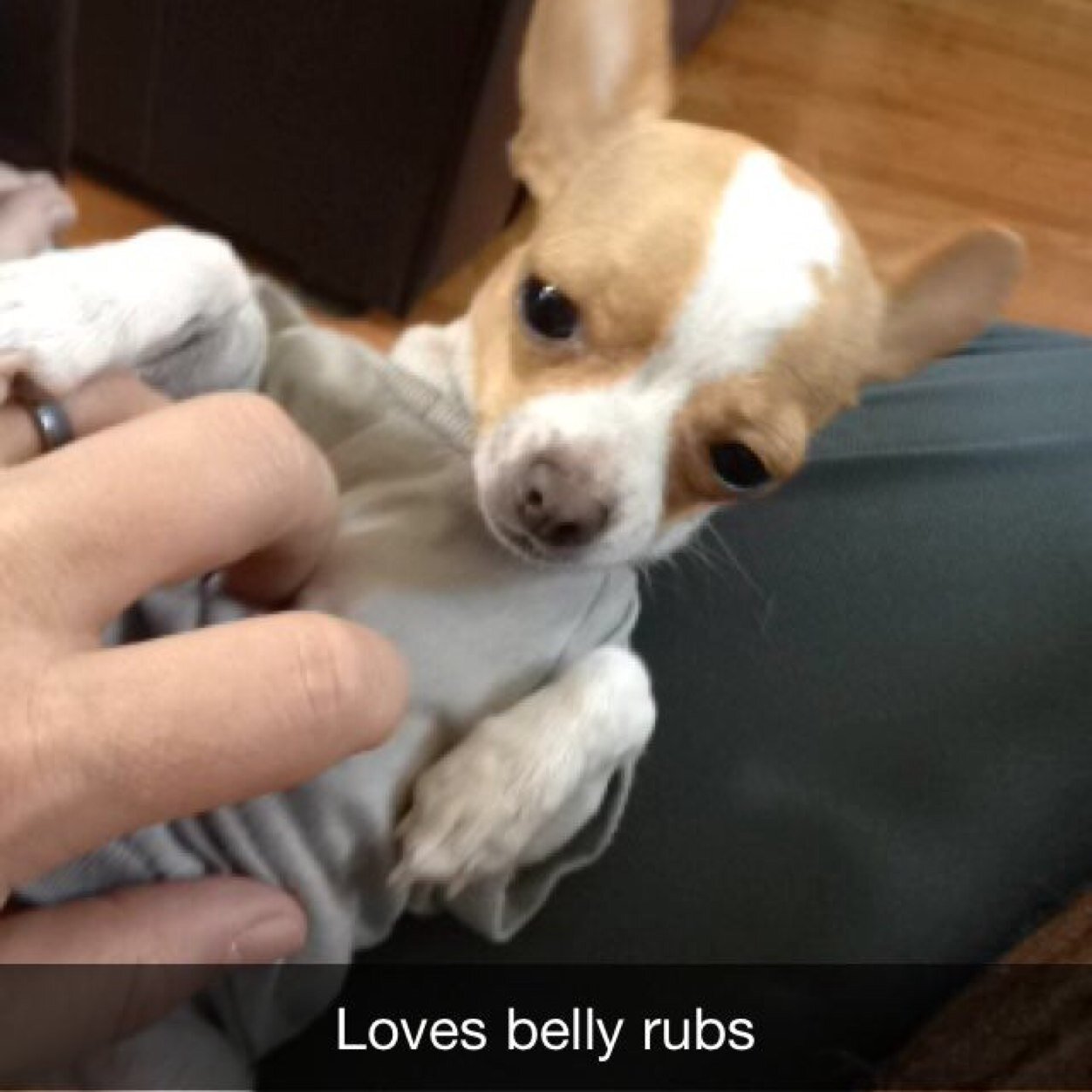 jbakerrooney's profile picture. 