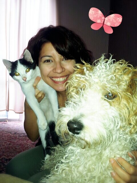 seresilvin's profile picture. 