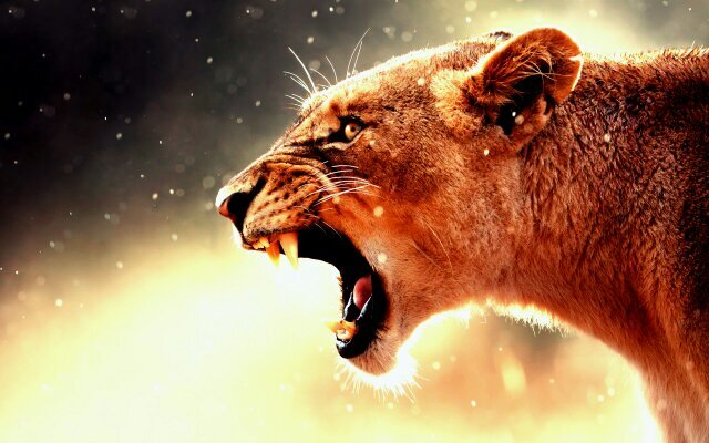 2touchdevelop's profile picture.