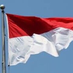 berbagi kabar sekisar bahasa Indonesia