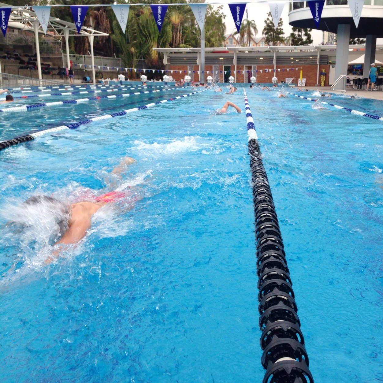 Swimming Supporters Group for Terrace Swimming. Best breakfast makers in the land. Bleed the Red and Black.