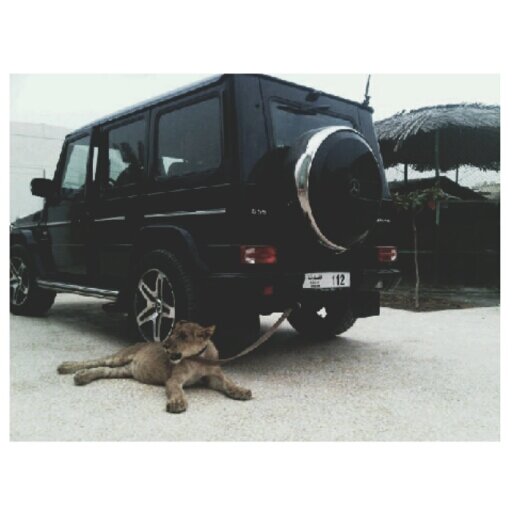 $$$ wavey // chill $$$
