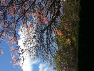 Mar7656Marianne's profile picture. working, married to a chef