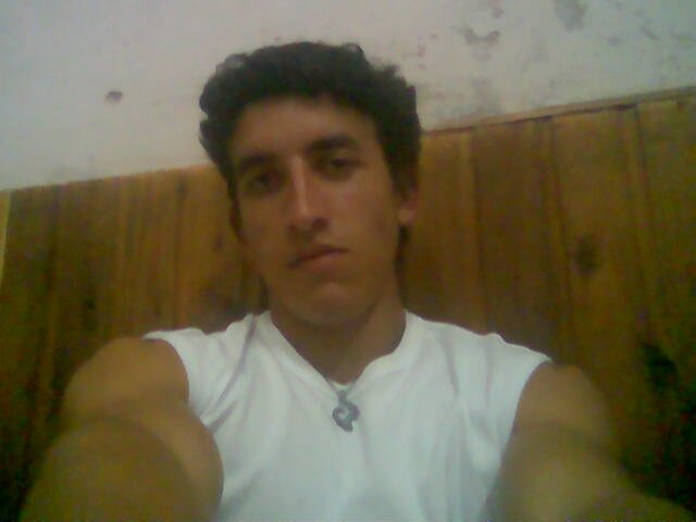 molotov_n's profile picture. 