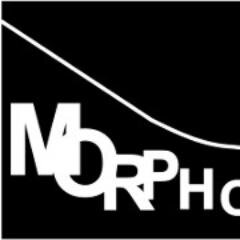 Le collectif Les Morphogénistes est une association de plusieurs artistes passionnés par l'Art et les nouvelles technologies Temps-Réel.