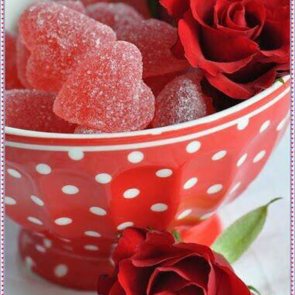 NoZeezo's profile picture. 