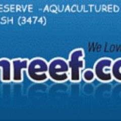 Captive Grown Corals and Fish Only!  Conserve and Preserve Our Oceans!