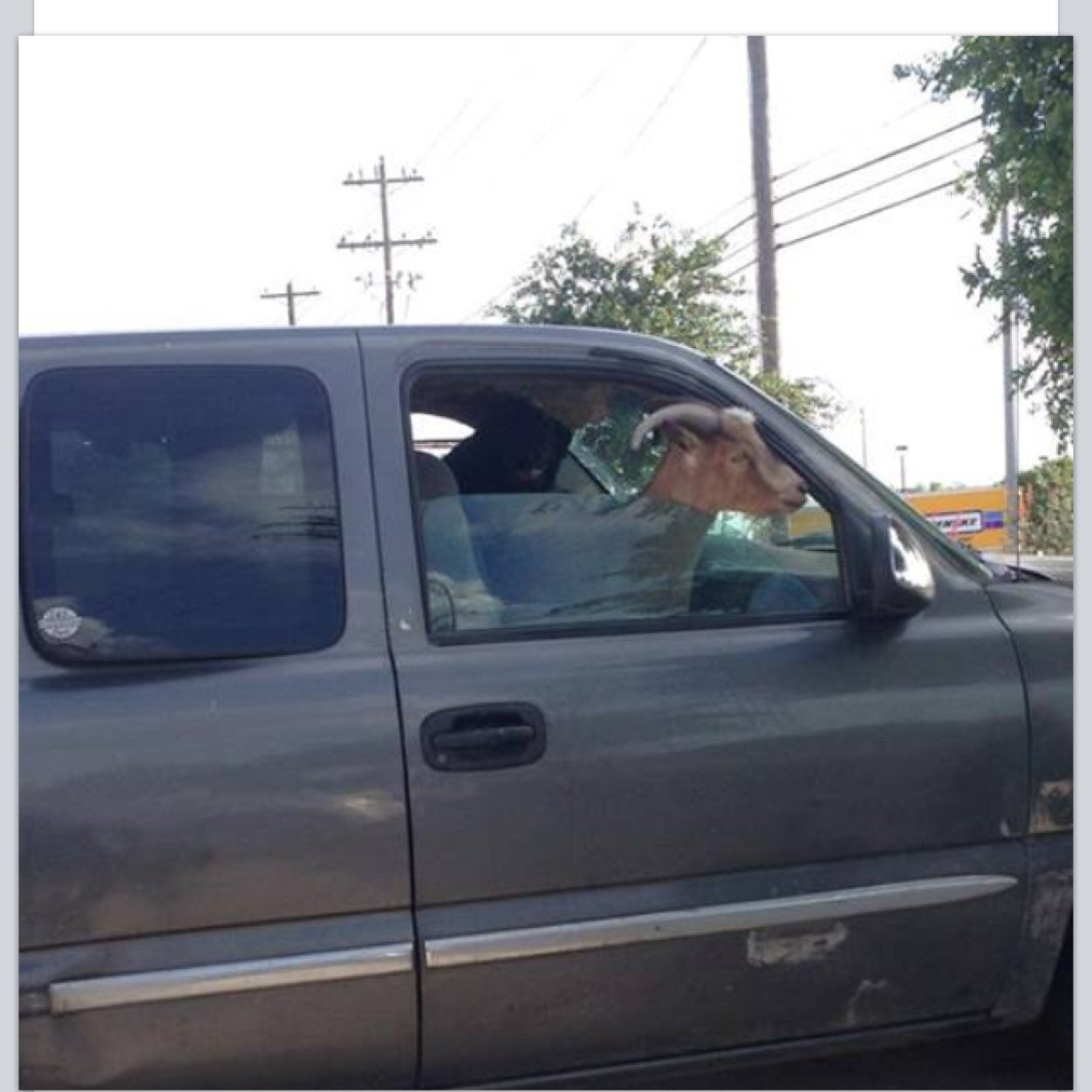 Codprophecy's profile picture. 