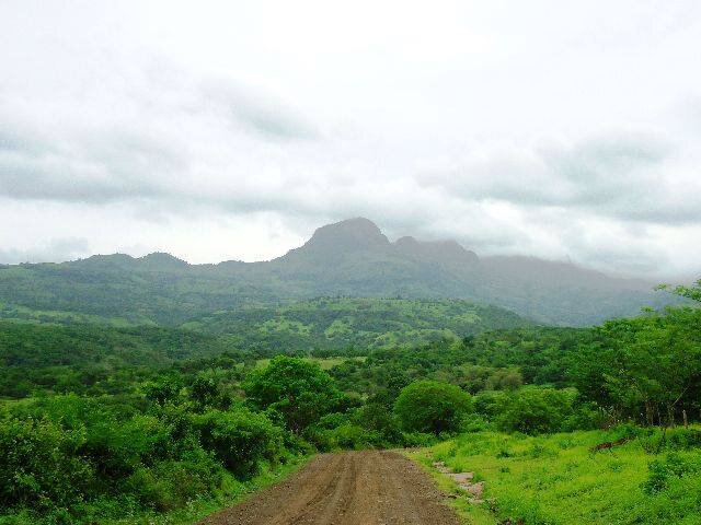 Carlos_Montez1's profile picture. Science lover.