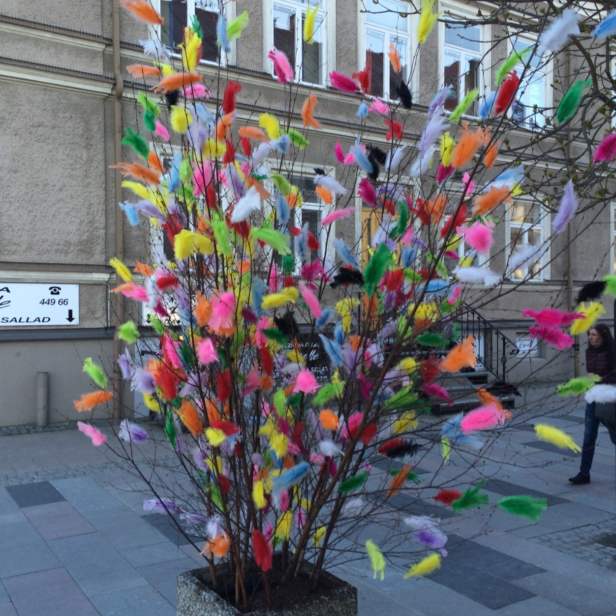 Sadrenur's profile picture. 