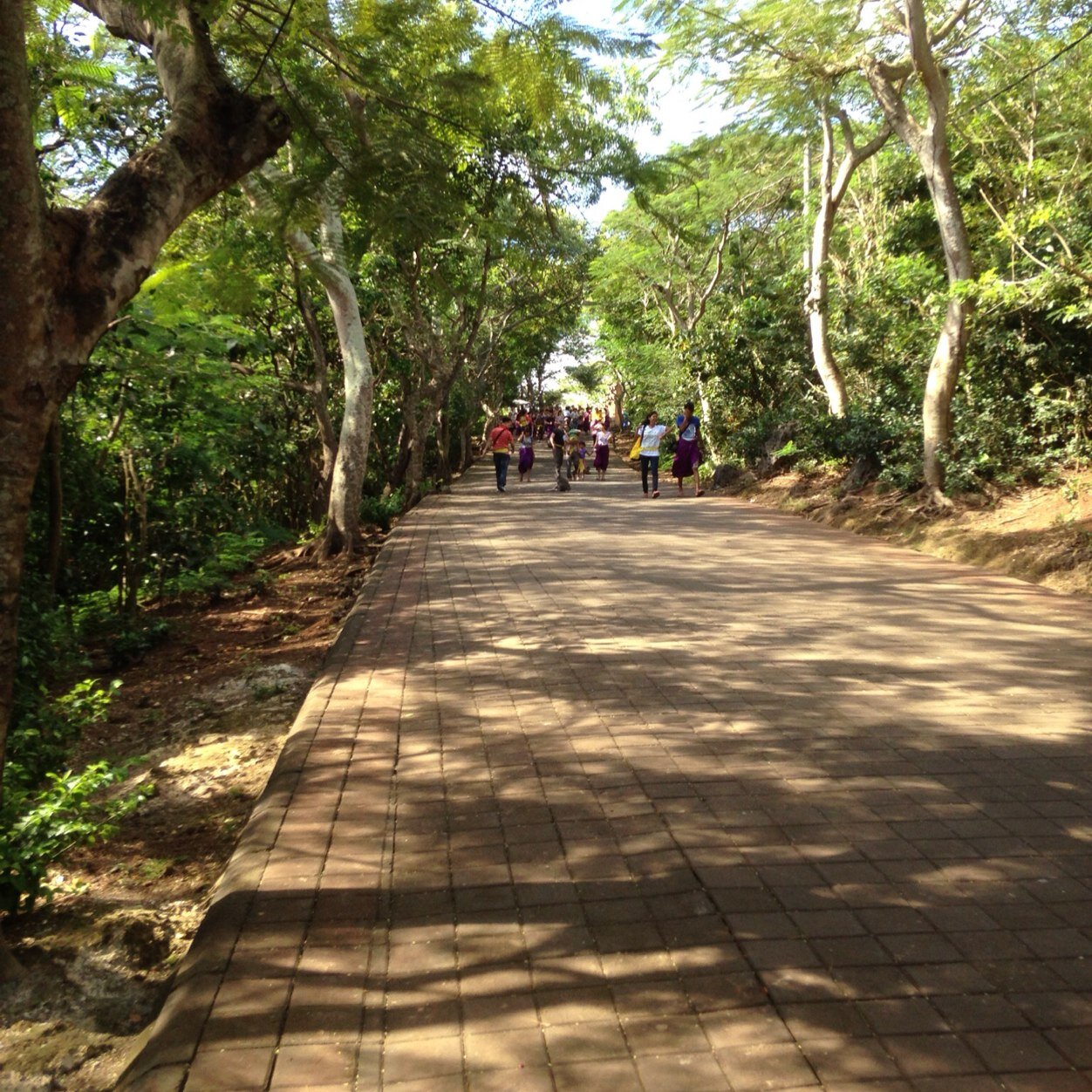 risingdragon77's profile picture. 편가르기 싸움질은 진실을 왜곡 하고,,정의는 멀어지고 결국 파멸만 있을뿐이다..