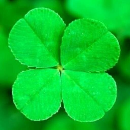 migon_choi's profile picture. 구름모임